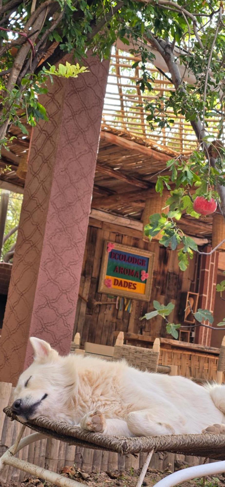 Ecolodge Aroma Dades El Hart Exterior foto